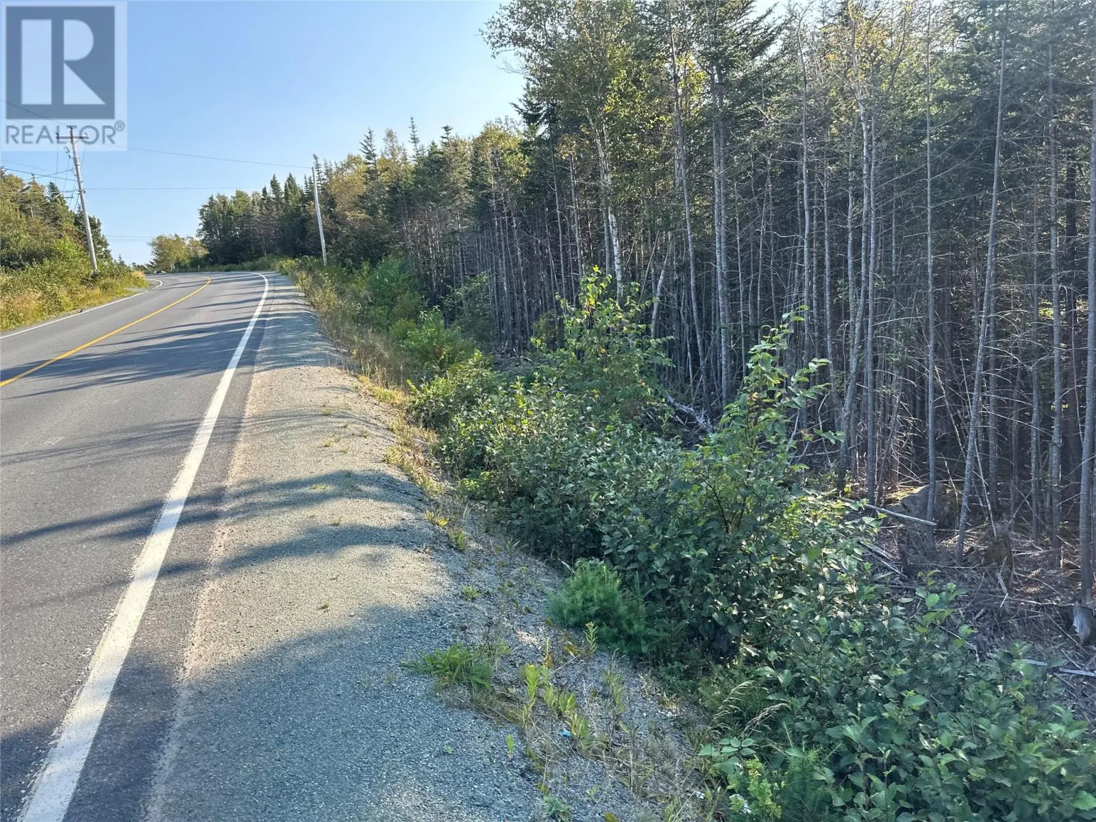 195 Conception Bay Highway