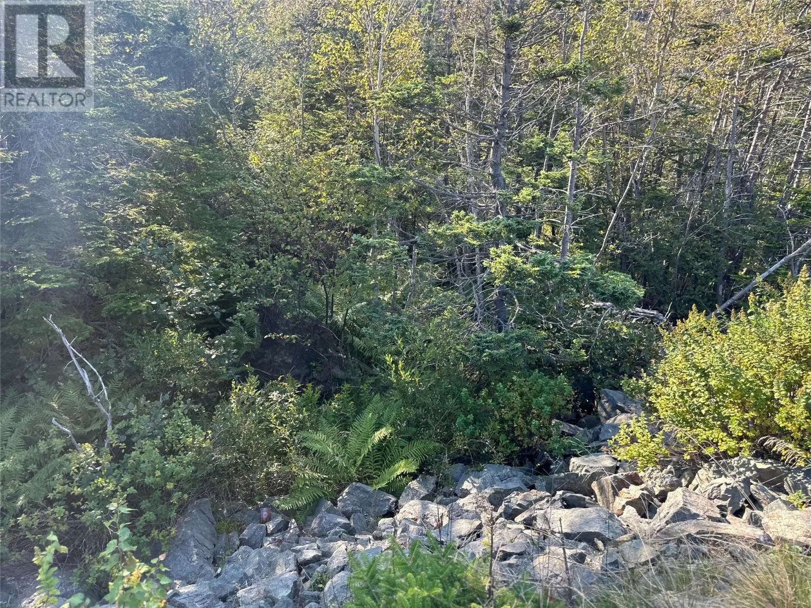 195 Conception Bay Highway