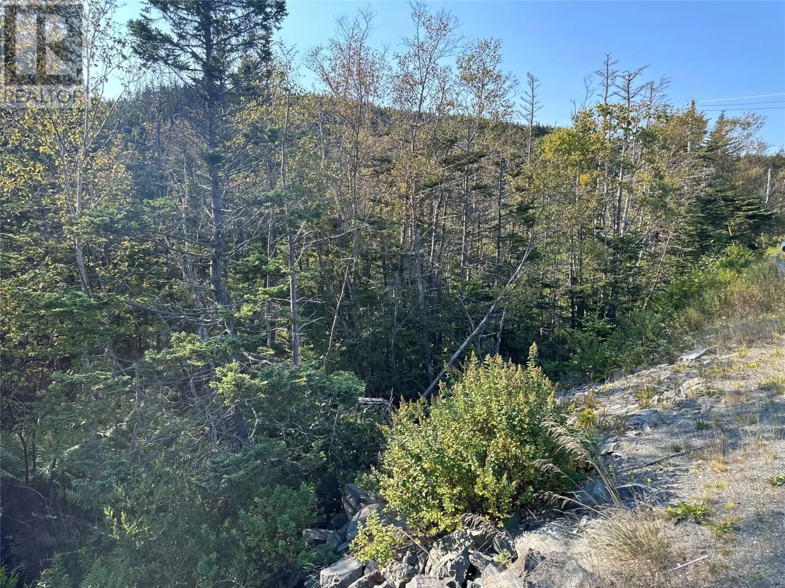 195 Conception Bay Highway