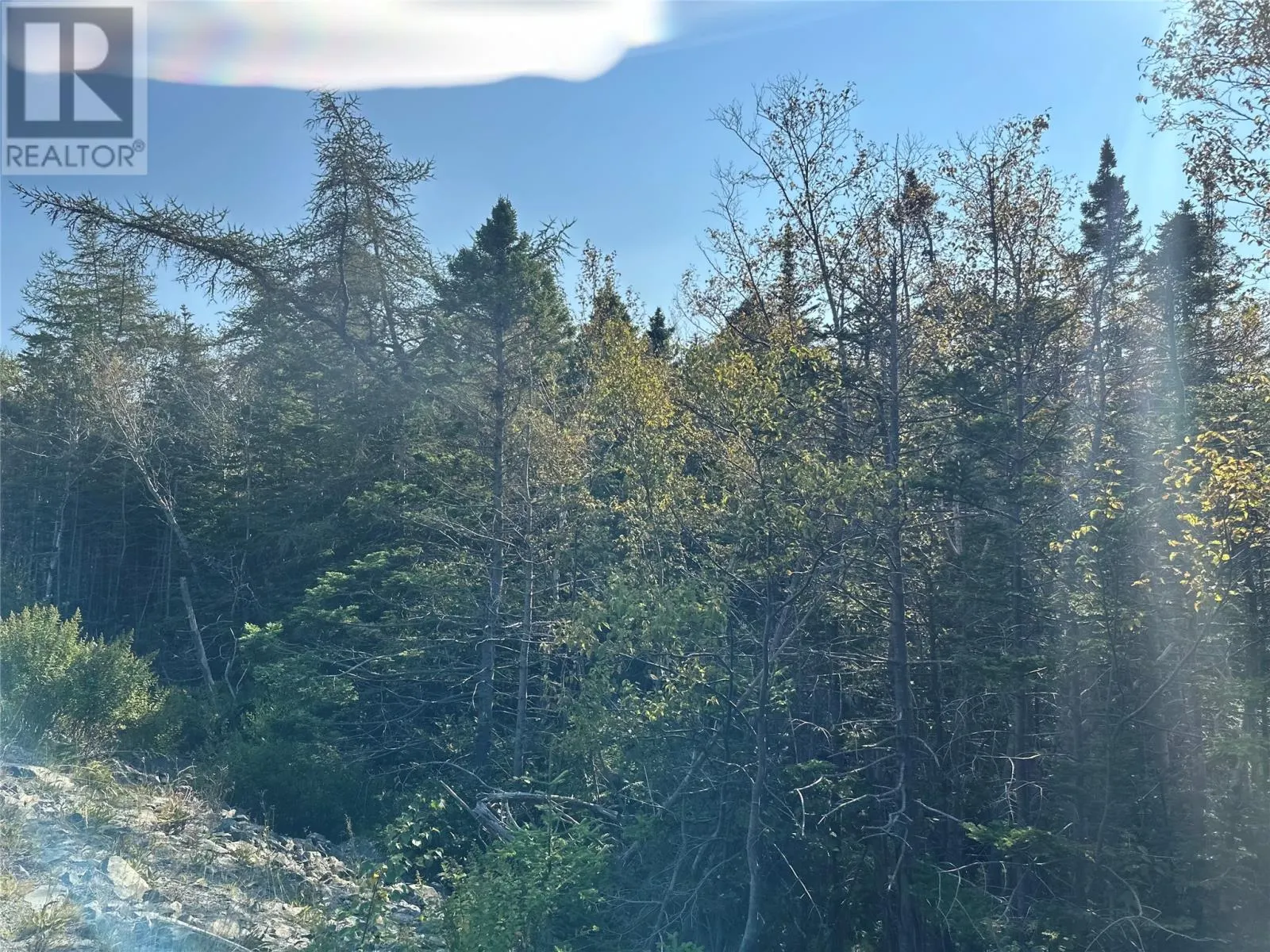 195 Conception Bay Highway