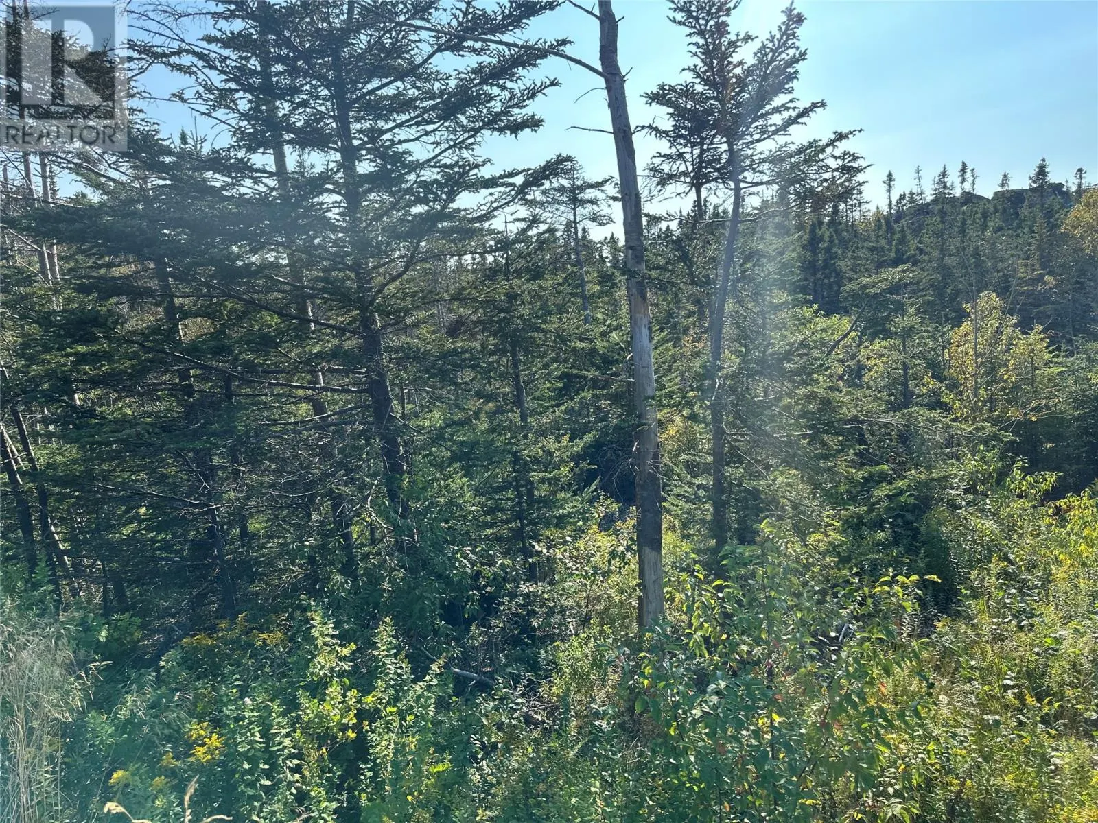 195 Conception Bay Highway
