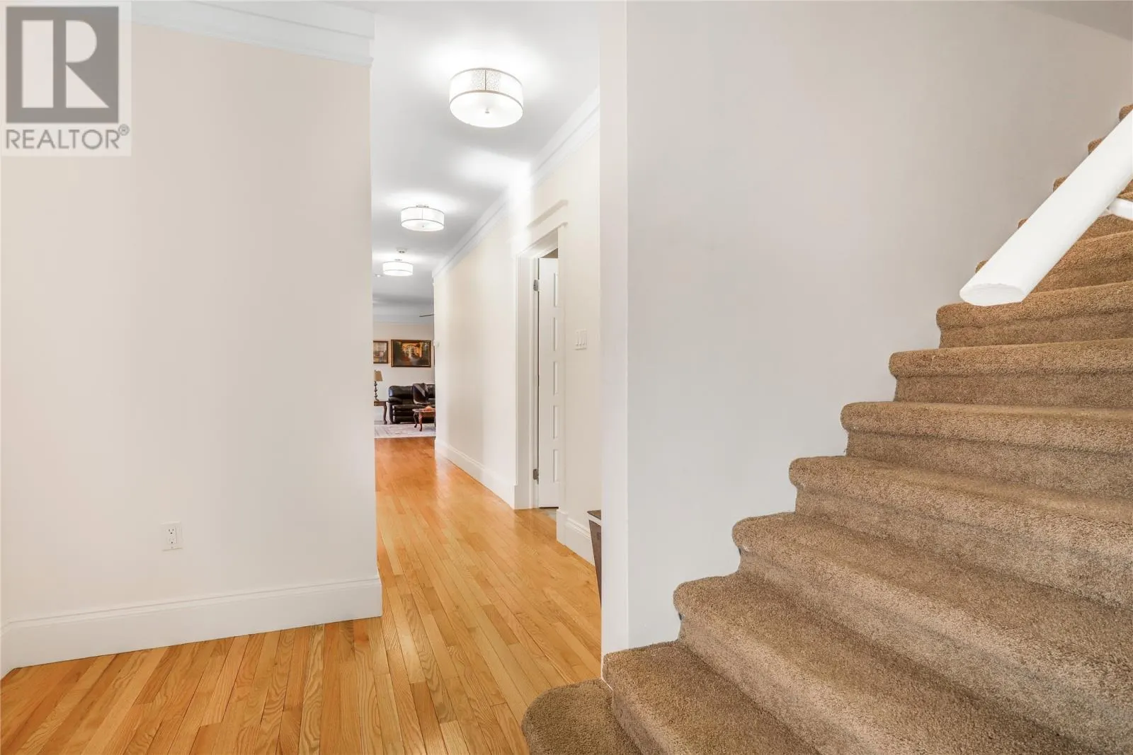 557 Thorburn Road