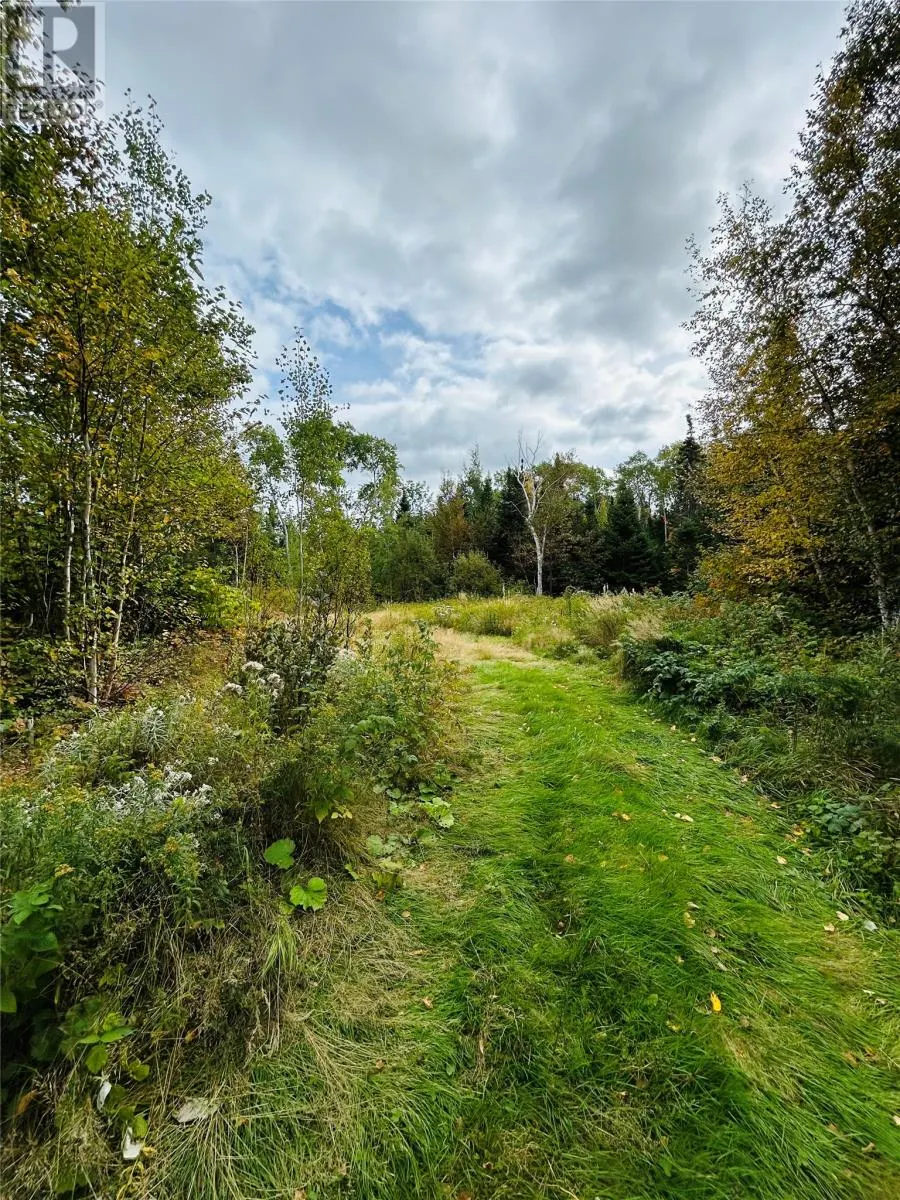 117 Askels Cove Road