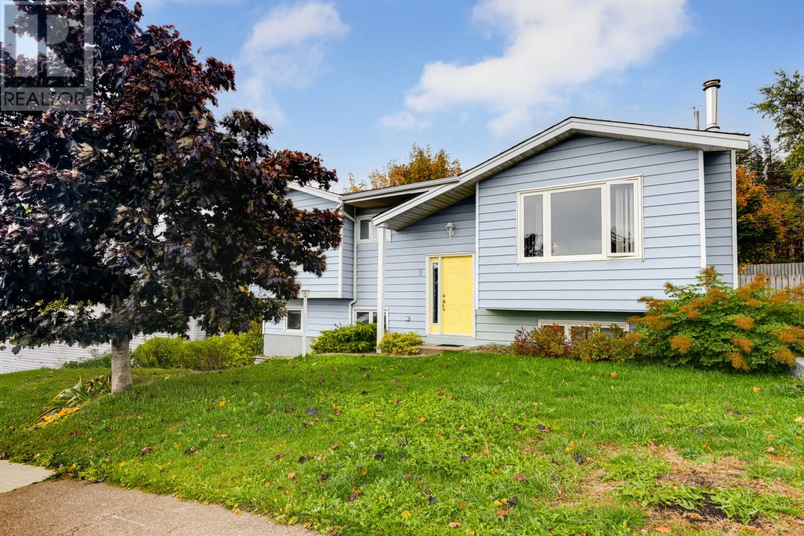 9 Tamarack Street