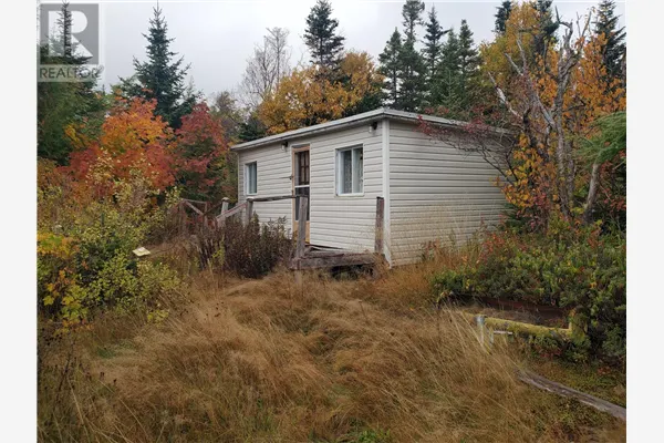 W113 Old Witless Bay Line