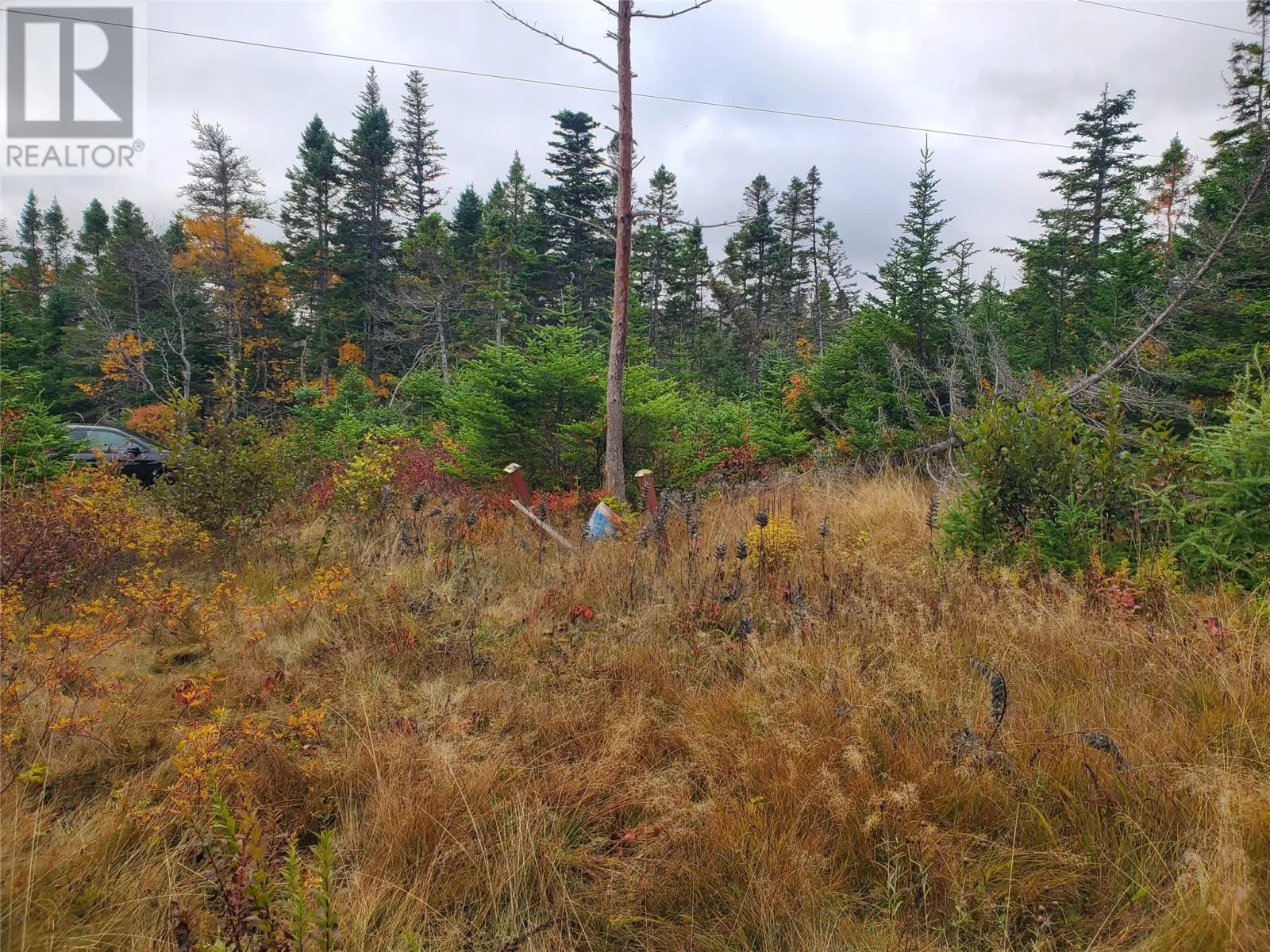 0 Old Witless Bay Line