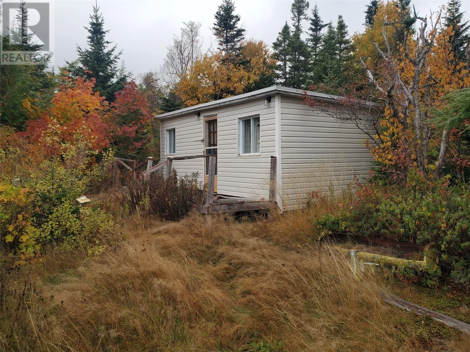 0 Old Witless Bay Line