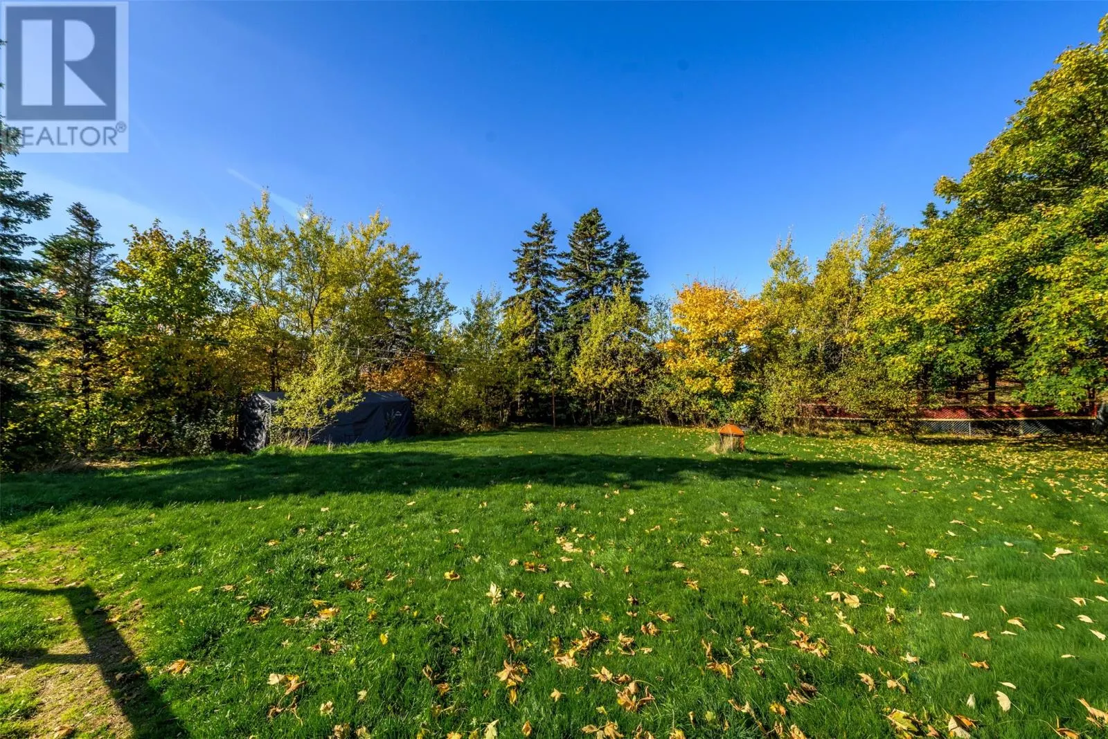 62 Old Bay Bulls Road