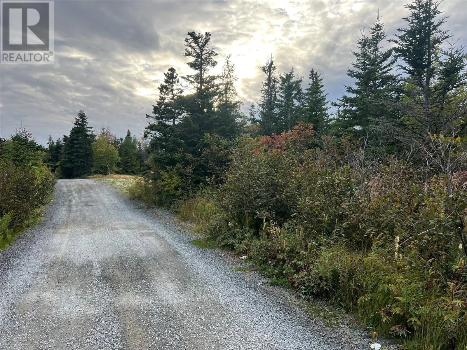72 Gully Path