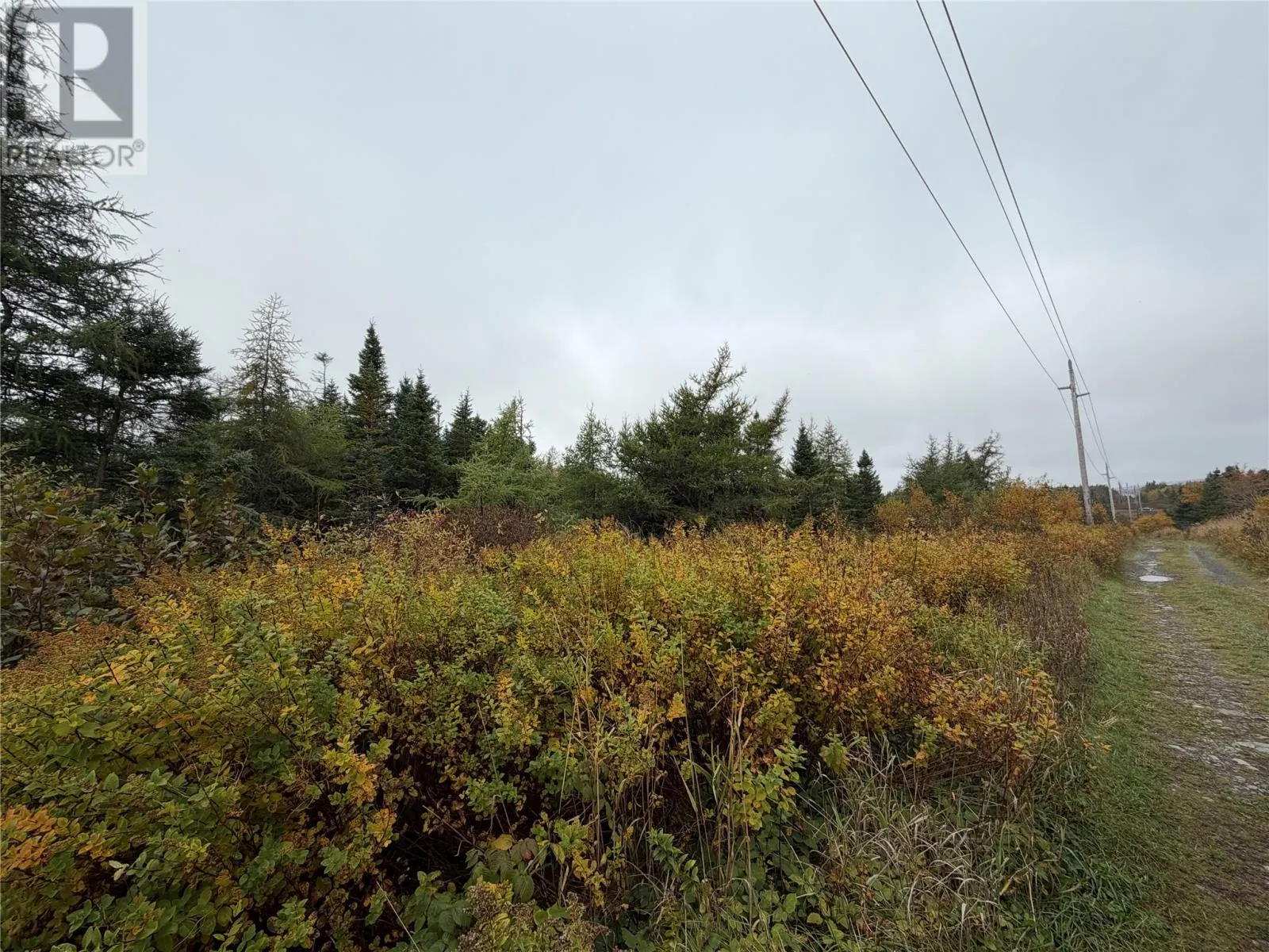 0 Tobins Road