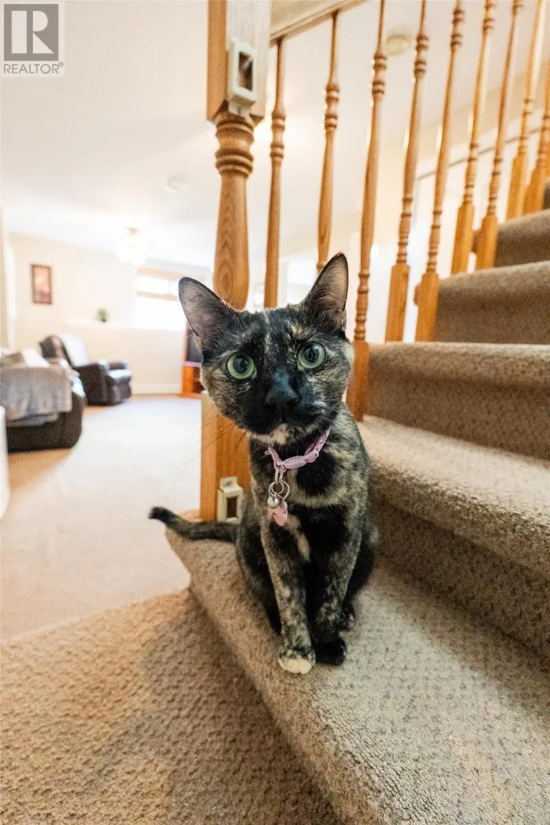 52 Discovery Crescent