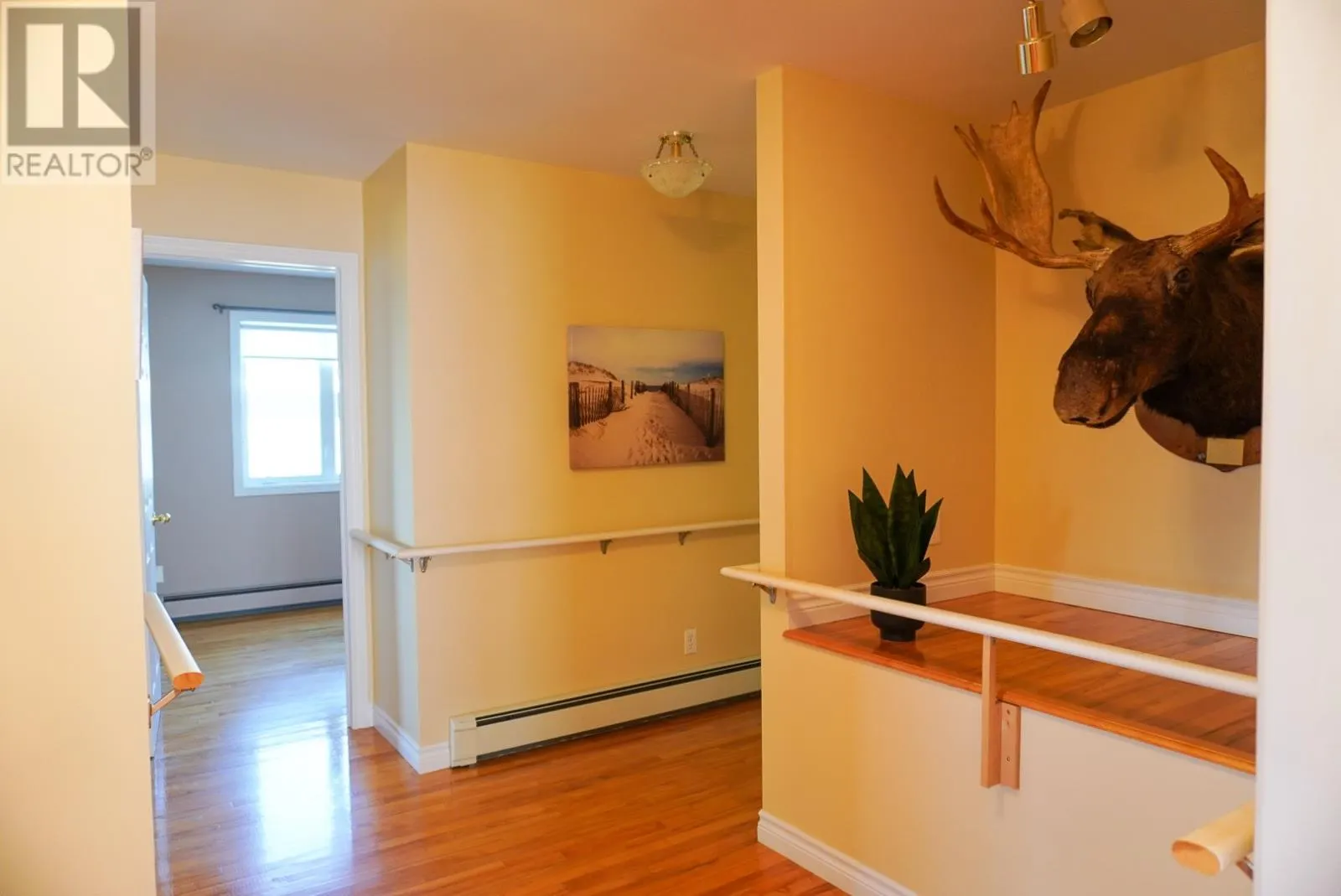 54 BLACKSTRAP Path