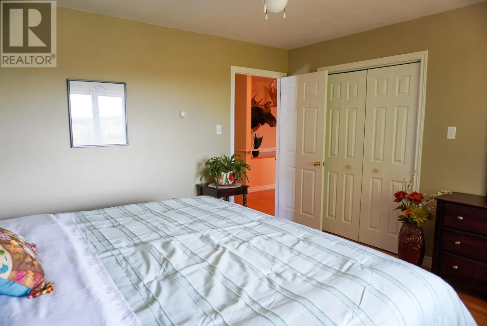 54 BLACKSTRAP Path