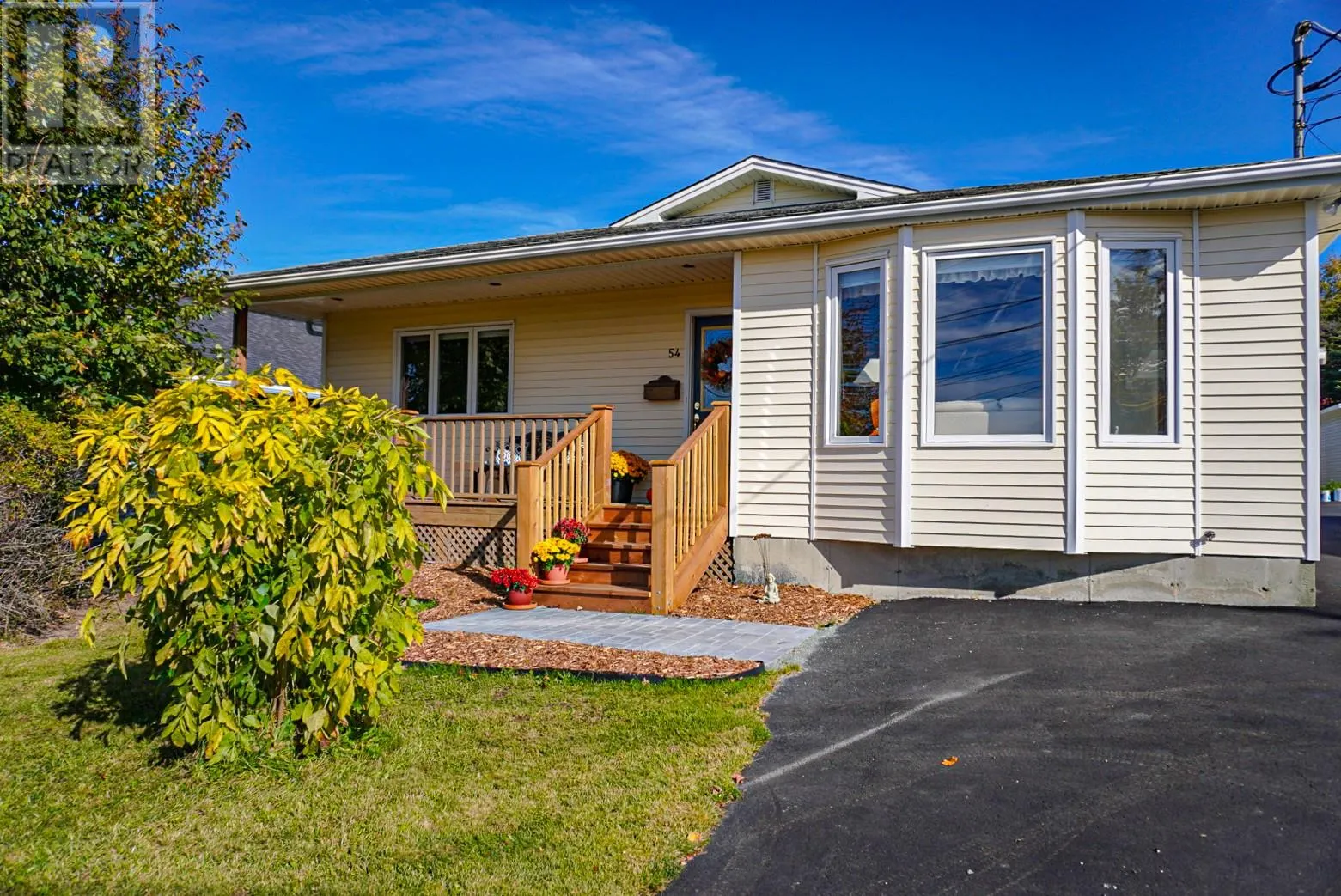 54 BLACKSTRAP Path