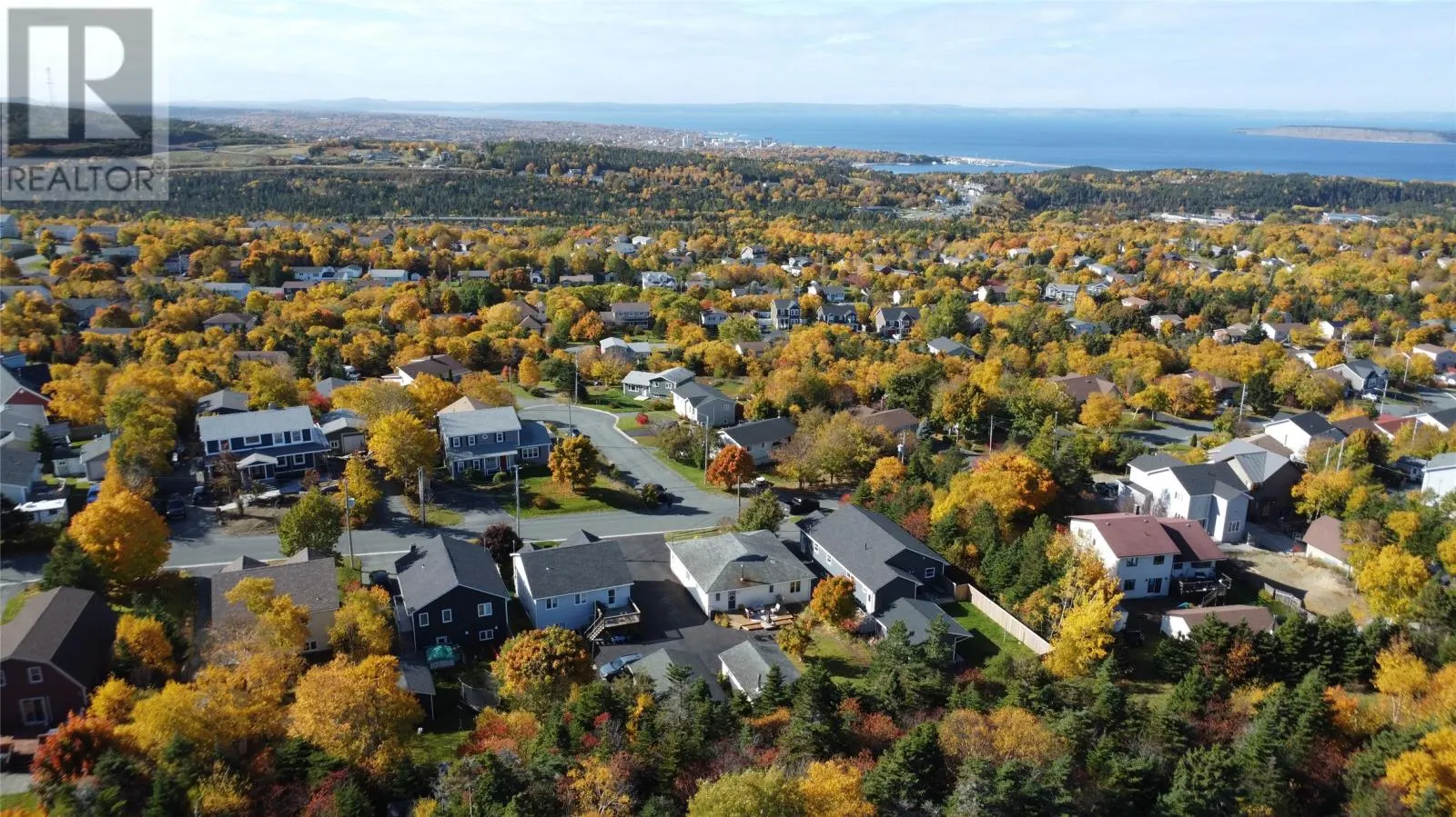 54 BLACKSTRAP Path
