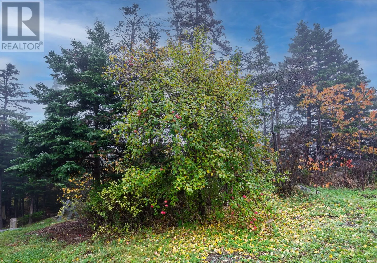 476 Dogberry Hill Road