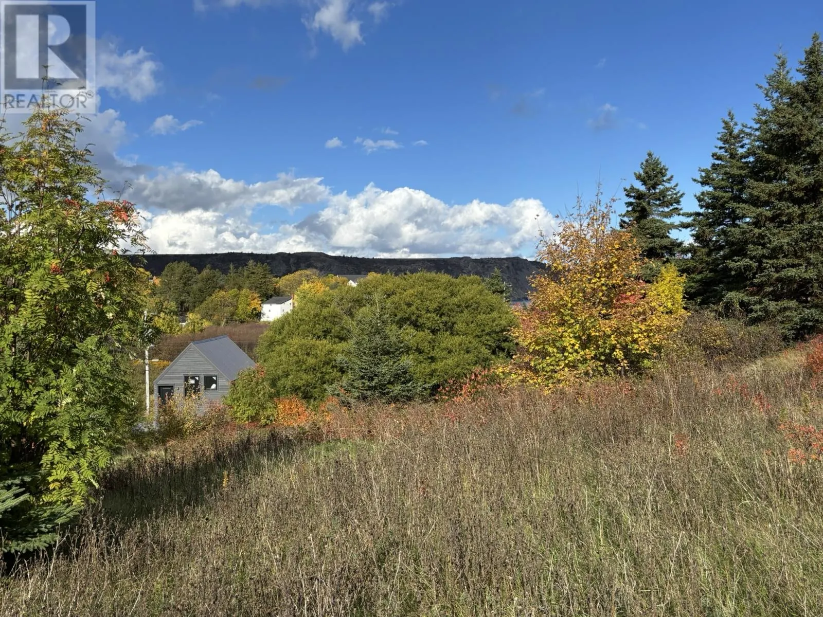 15-19 John Noels Hill