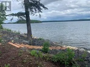 10 Old Briton Crescent