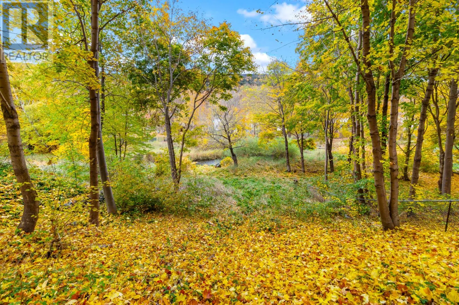 149 Waterford Bridge Road