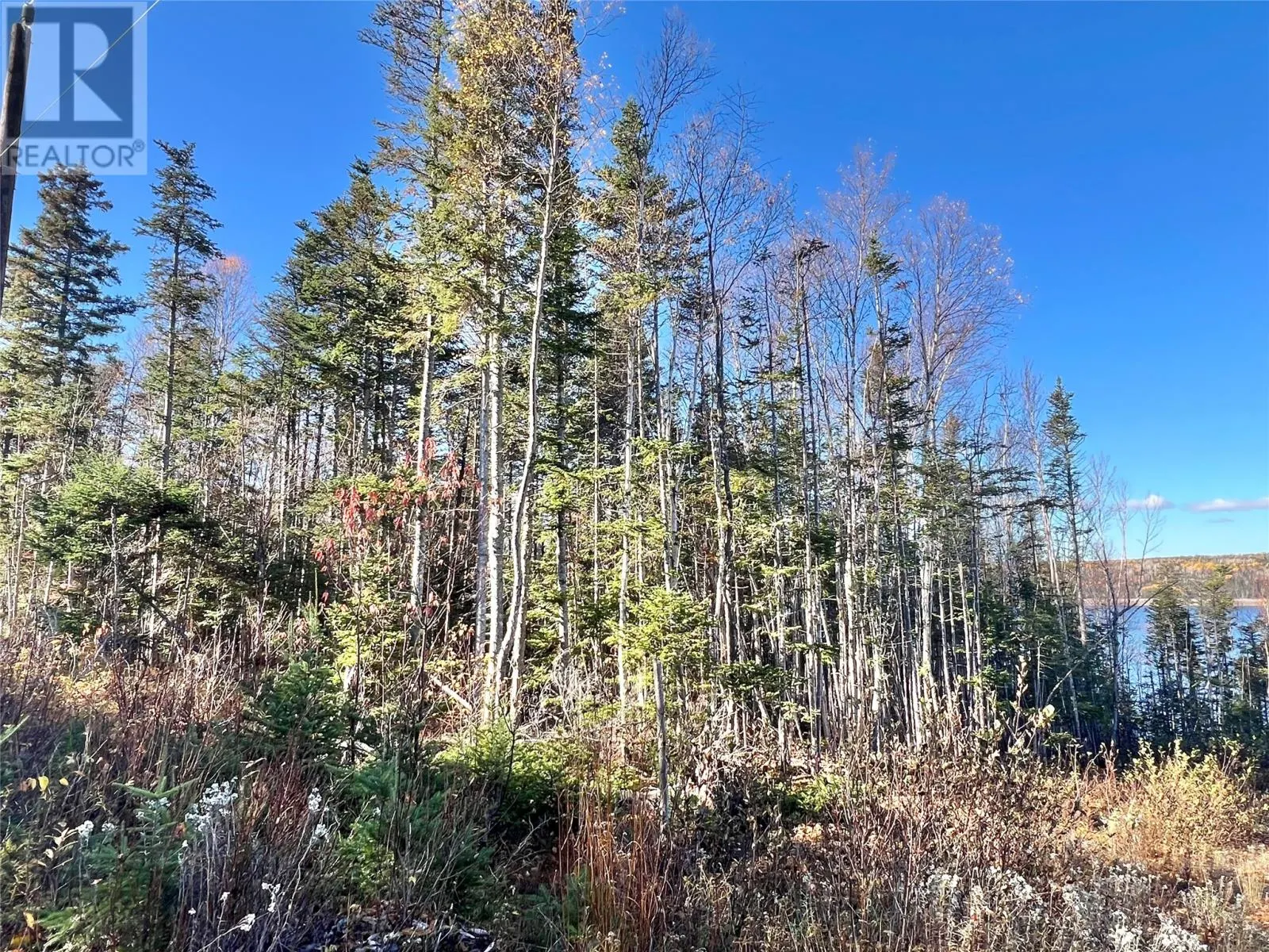 11 Little Paradise Road