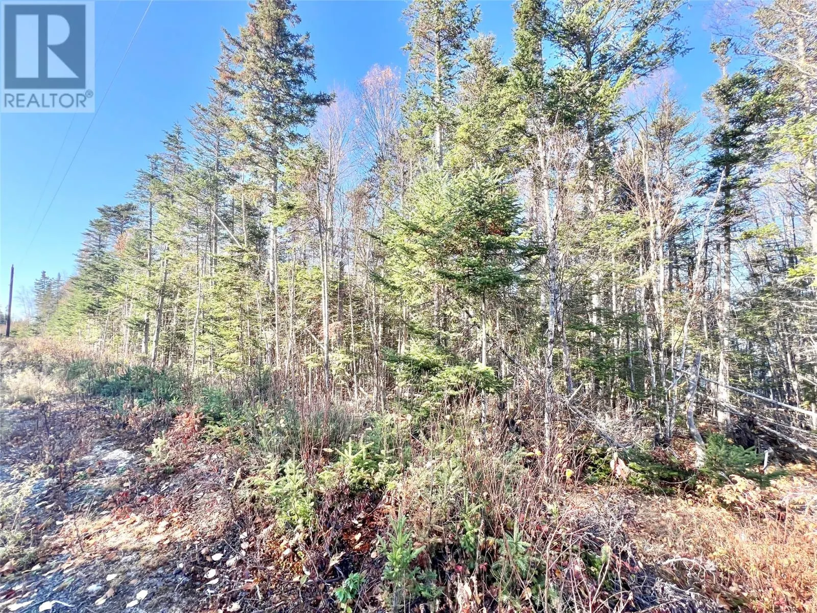 11 Little Paradise Road