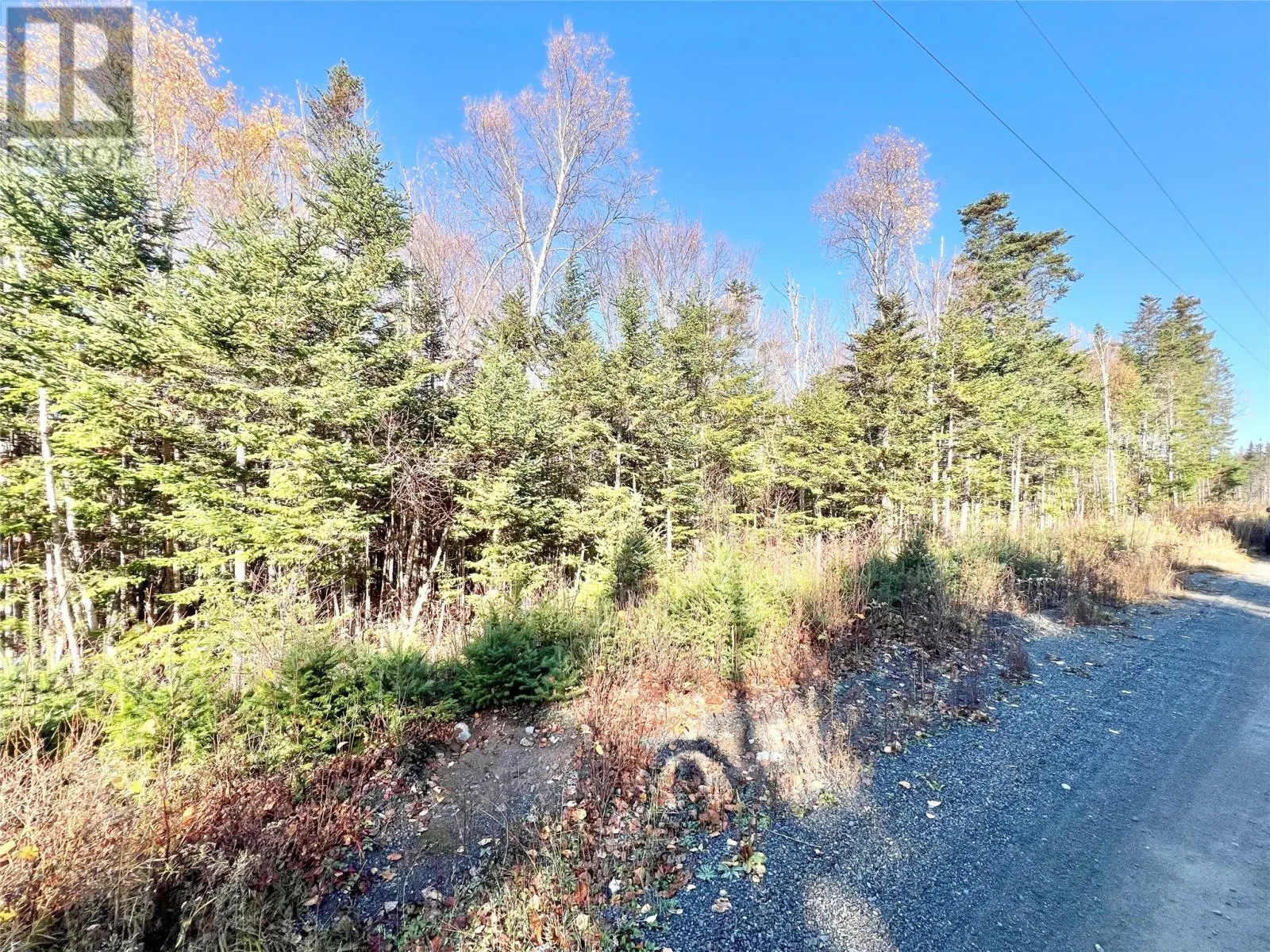 11 Little Paradise Road