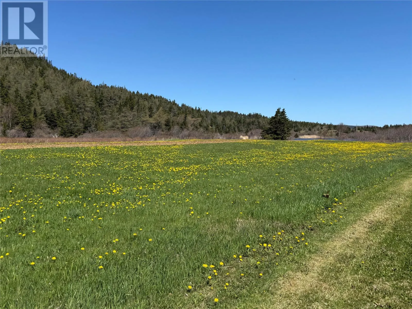 38 North Side Road