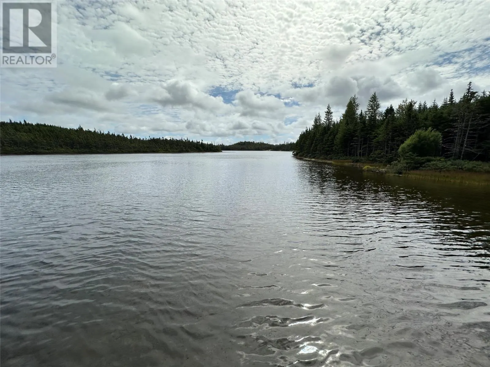 #38 Route 90, Salmonier Line