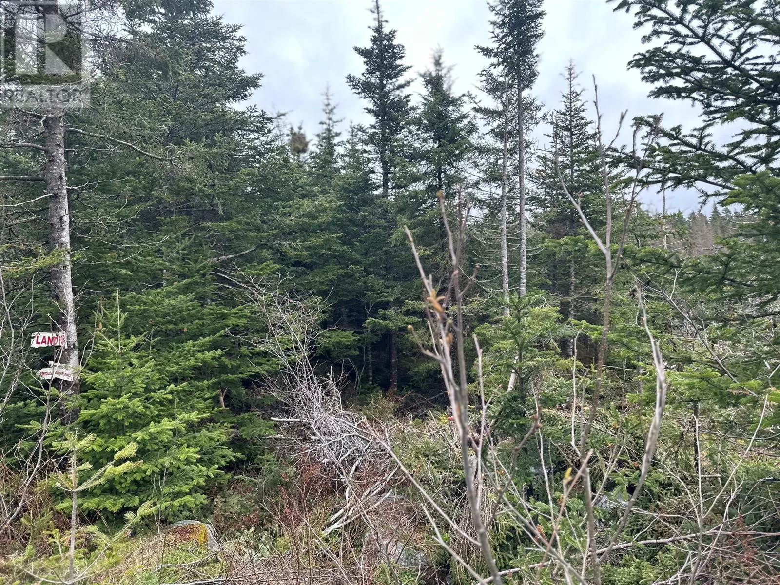 54 Ridge Road