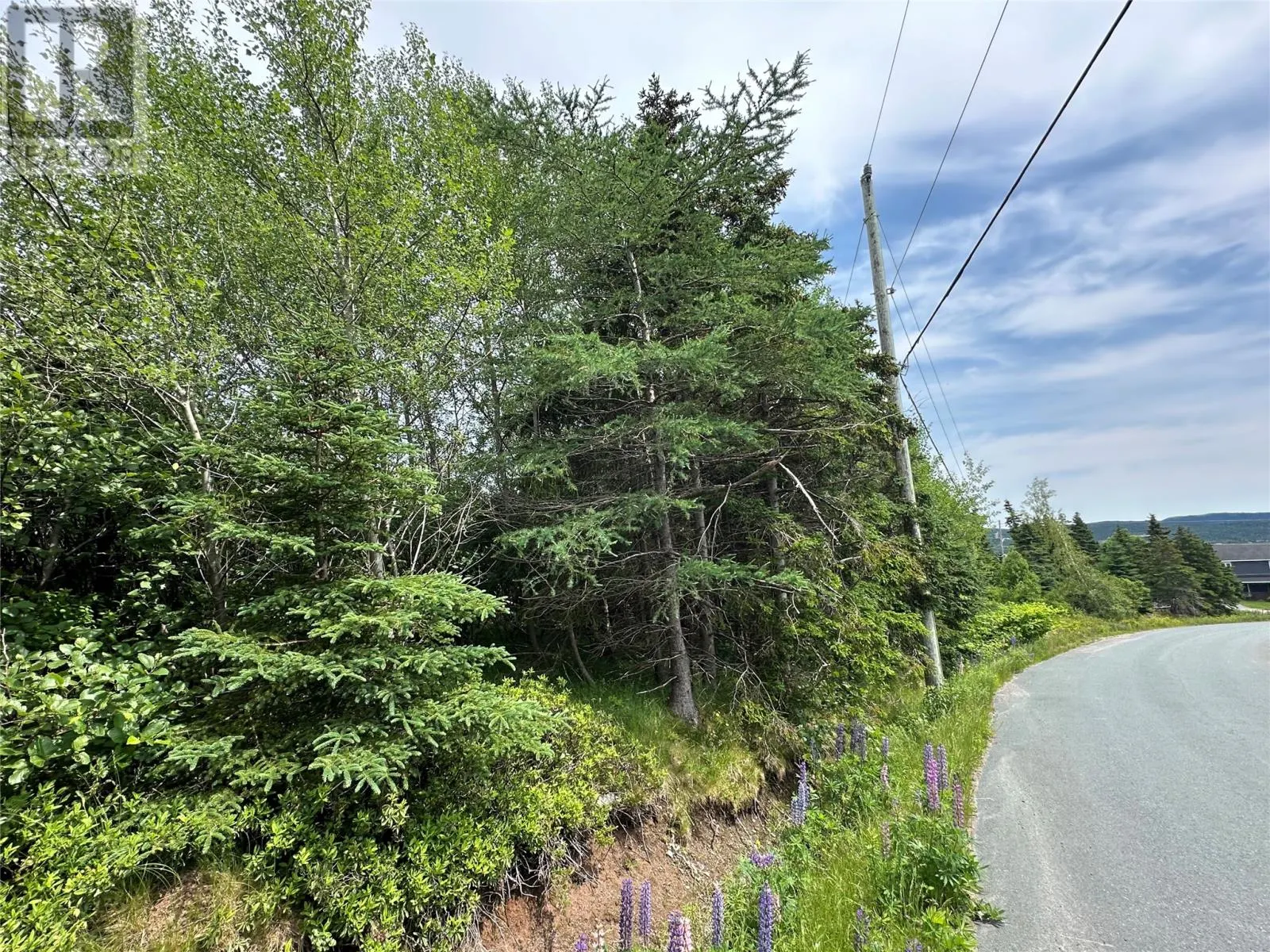 16 Ridge Road