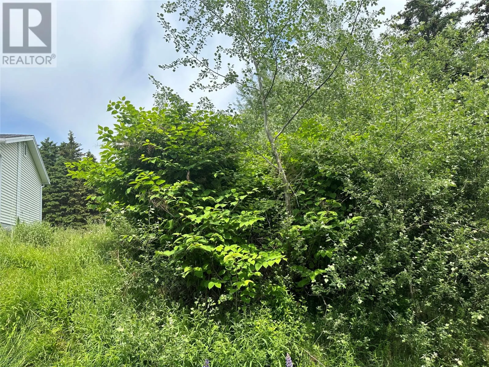 16 Ridge Road