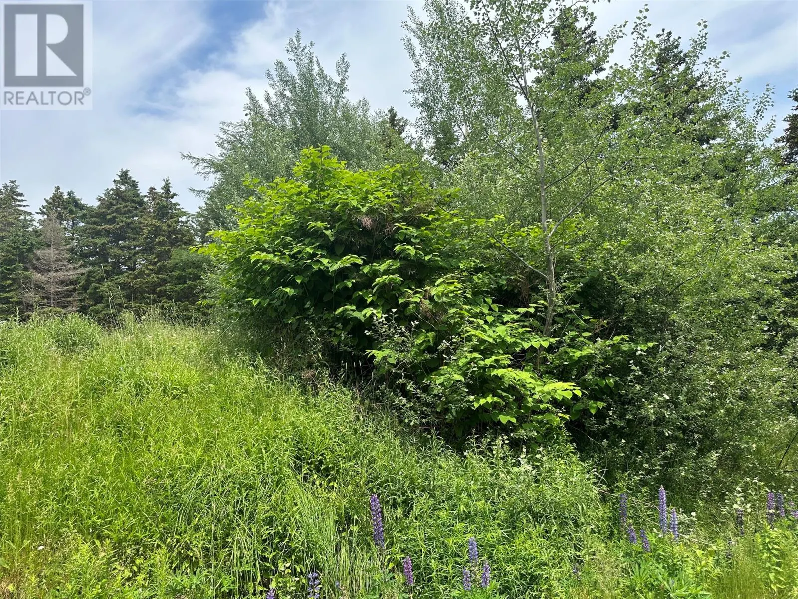 16 Ridge Road