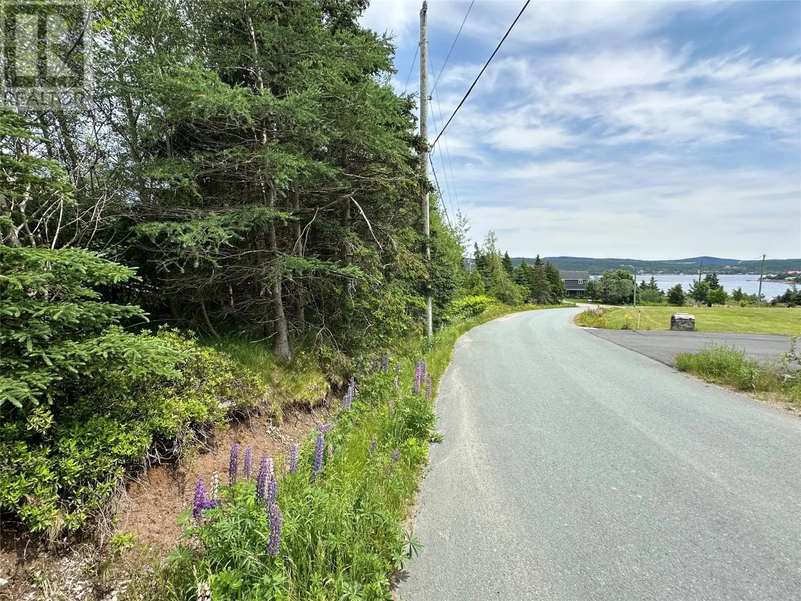 16 Ridge Road