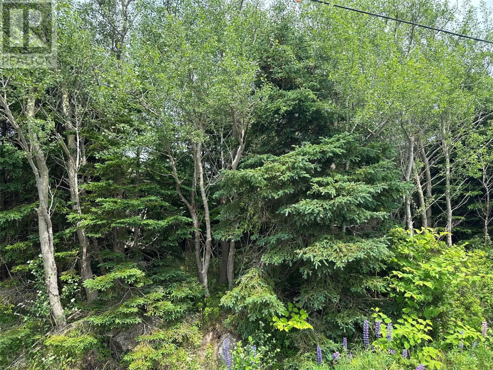 16 Ridge Road