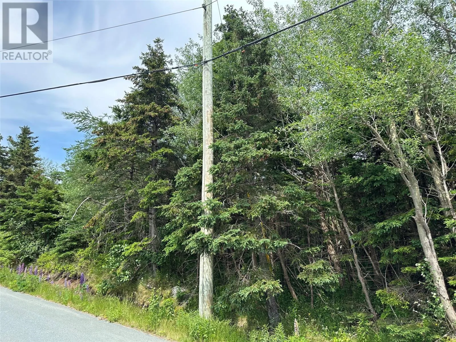 16 Ridge Road