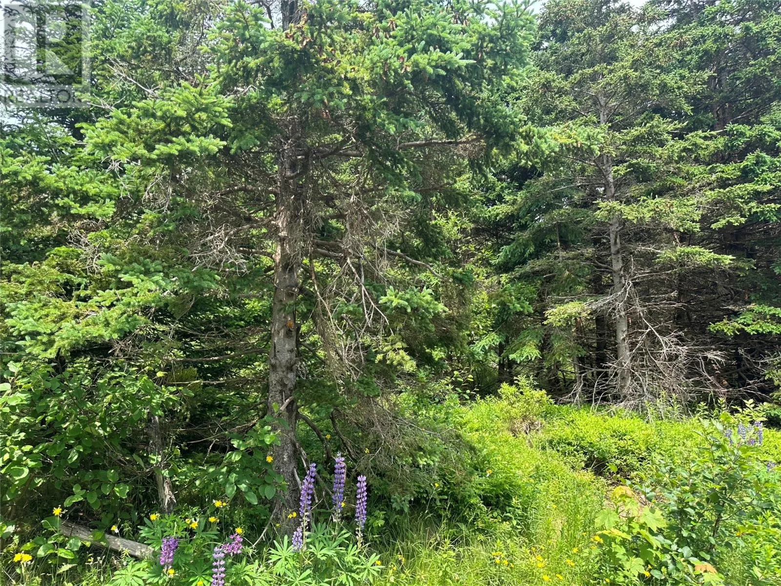 16 Ridge Road