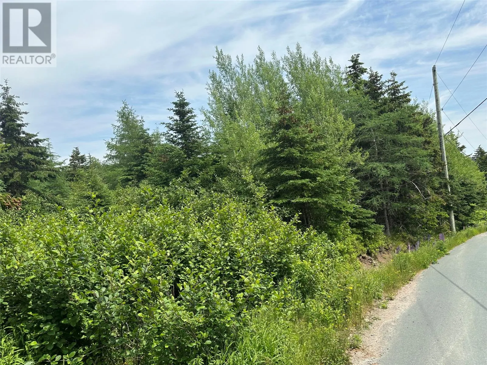 16 Ridge Road