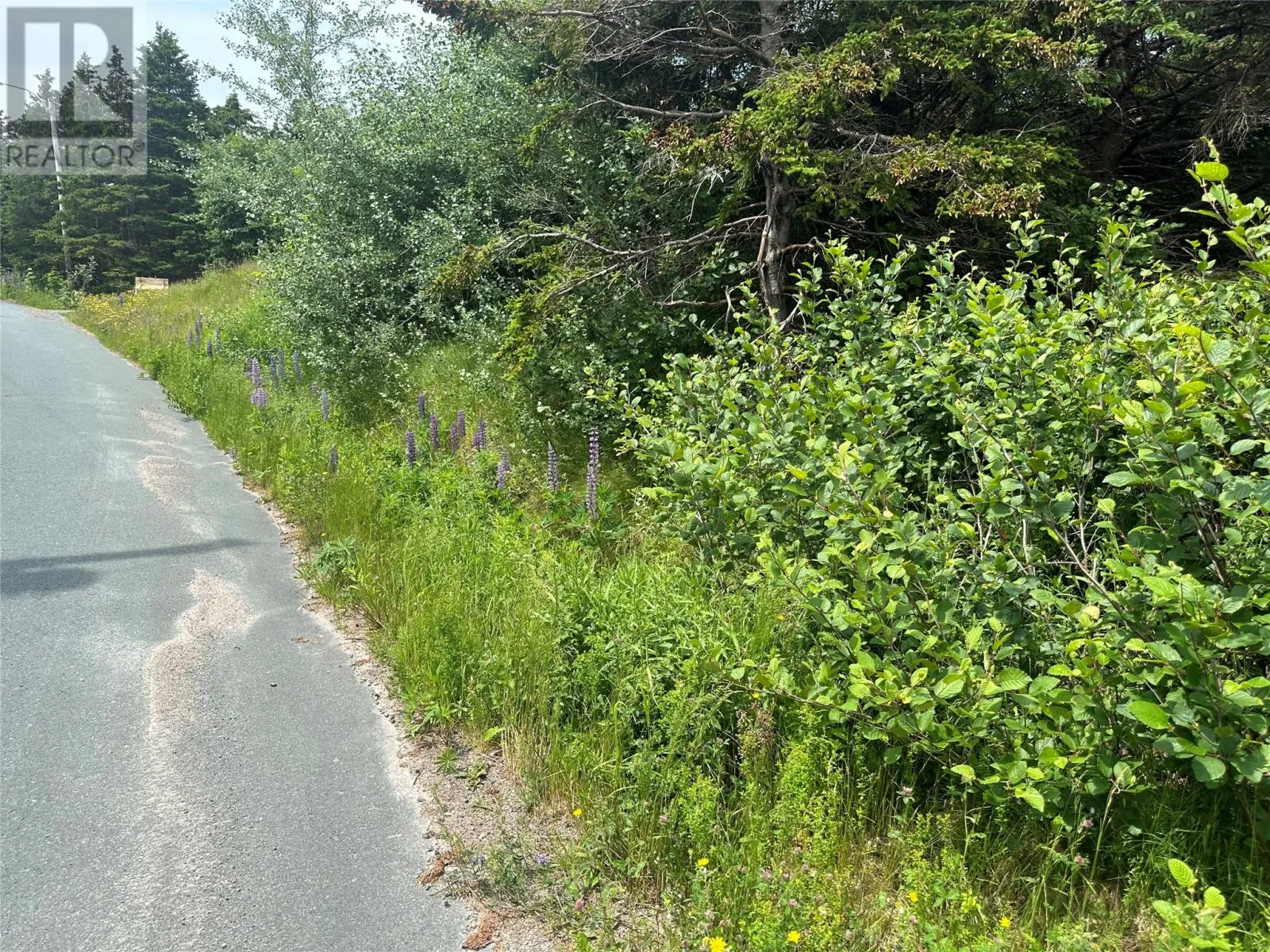 16 Ridge Road