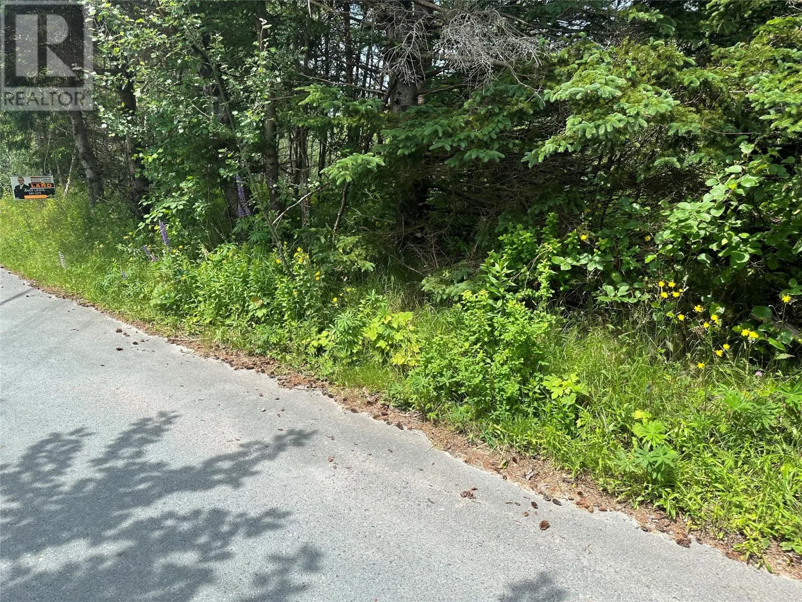 16 Ridge Road
