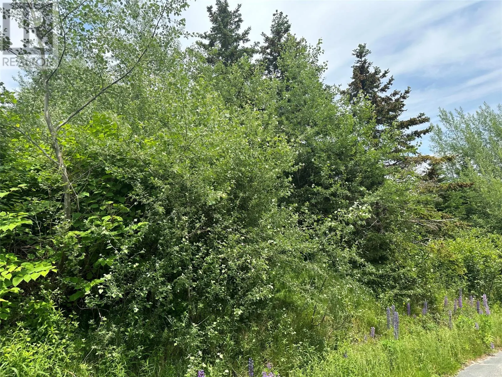 16 Ridge Road