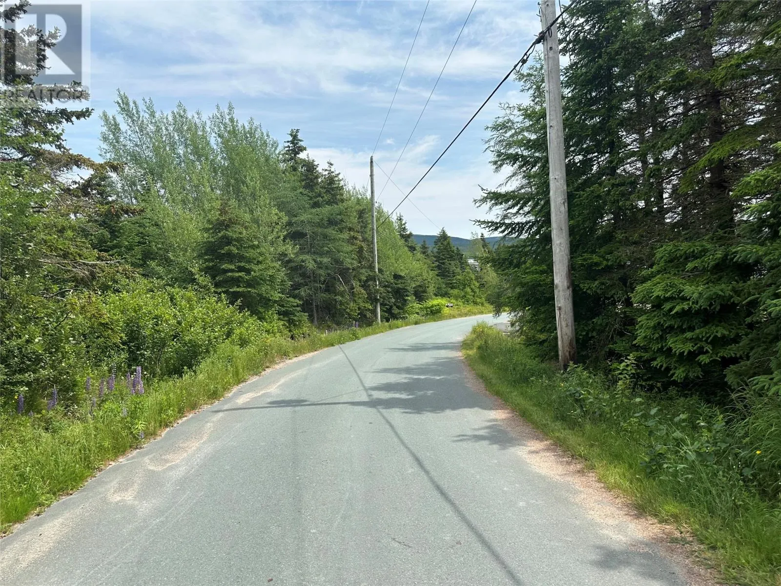 16 Ridge Road