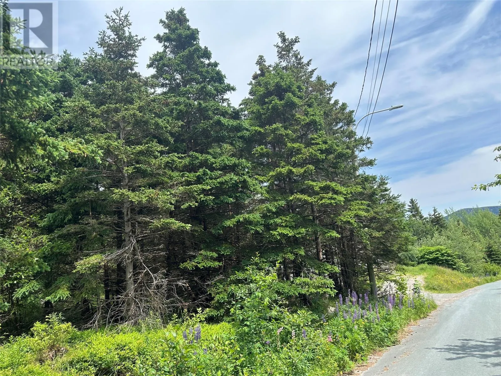 16 Ridge Road