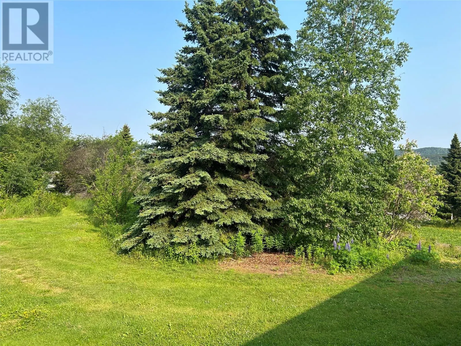 29 Emerald Avenue