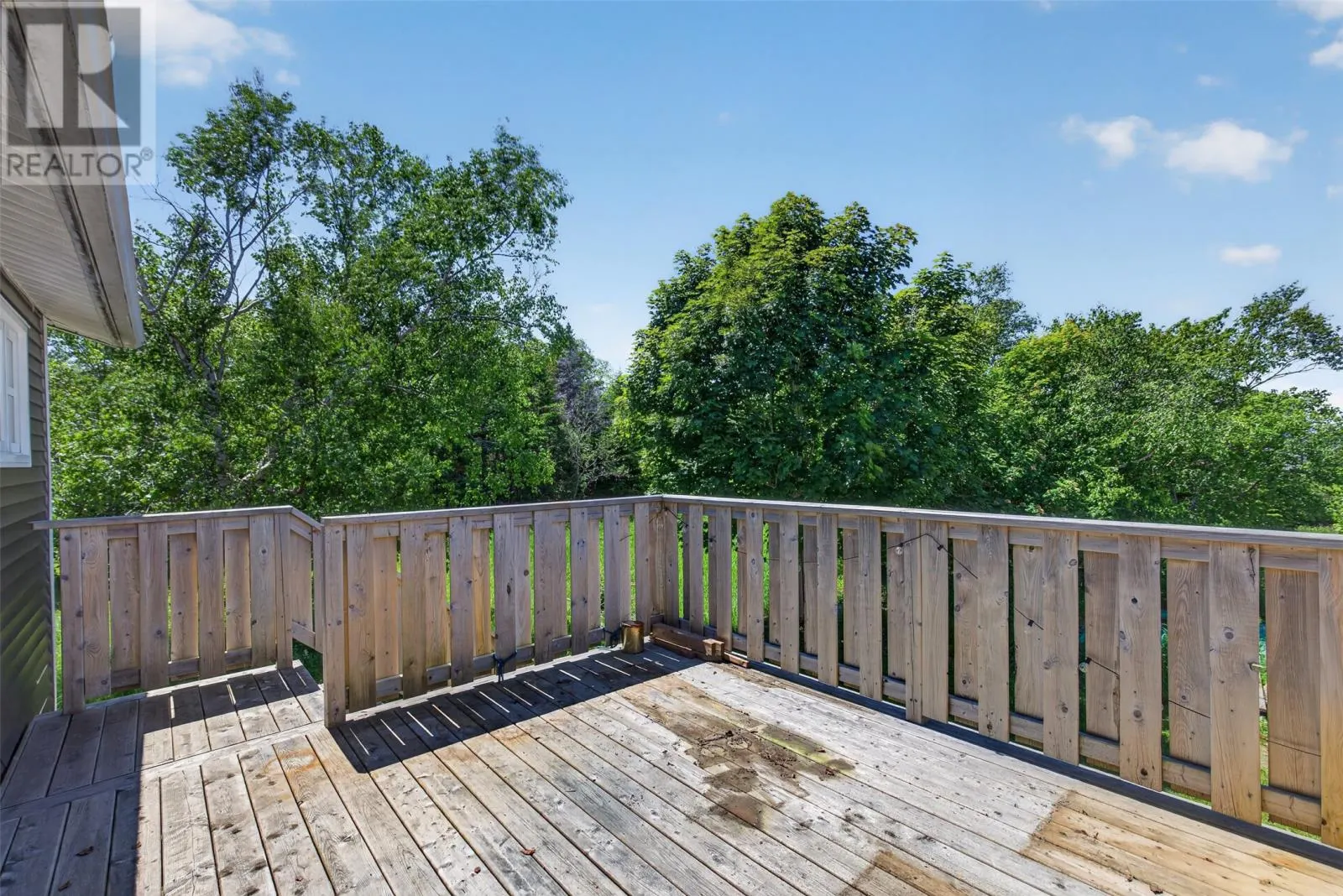 224 Bay Bulls Road