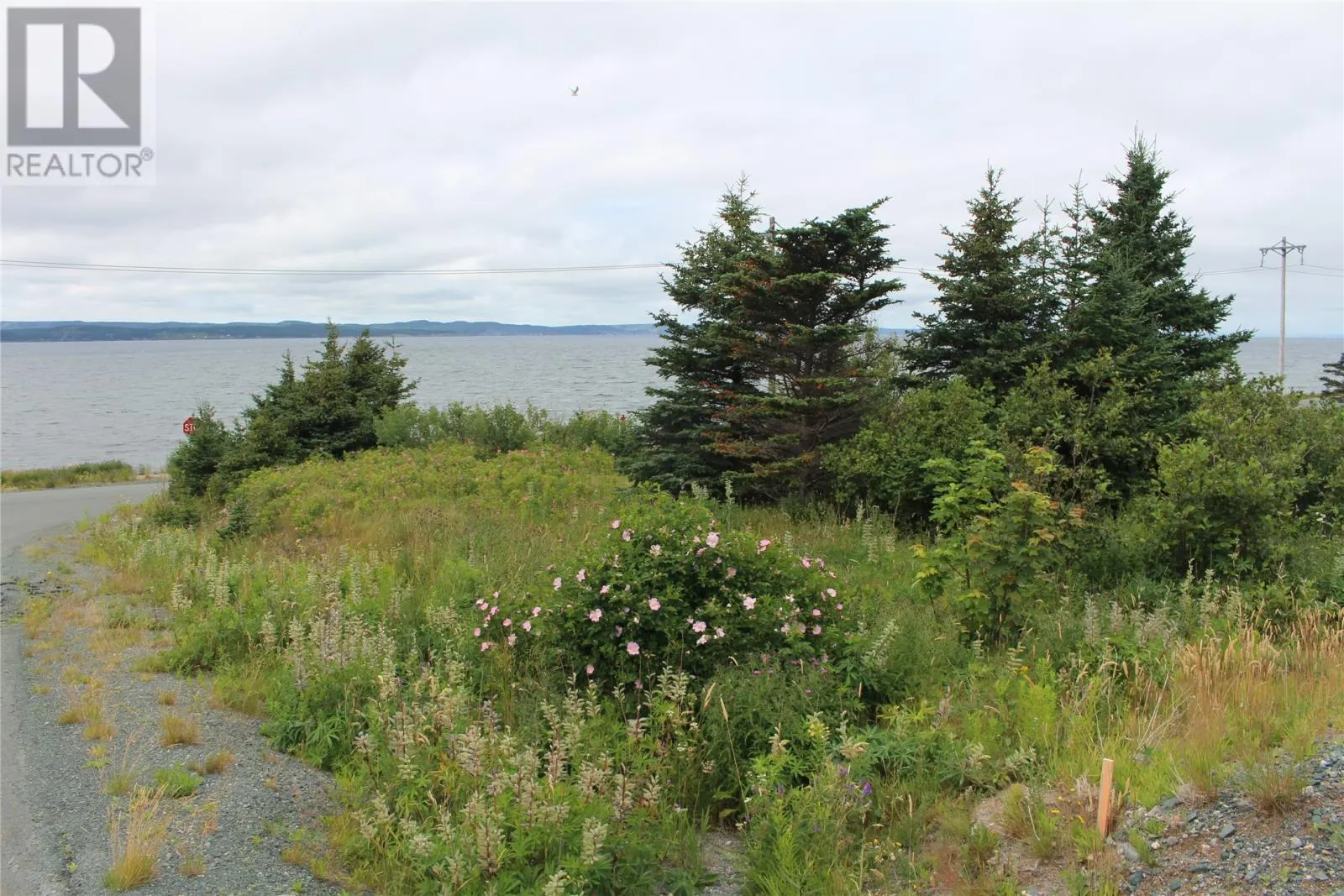 289-291 Seal Cove Road