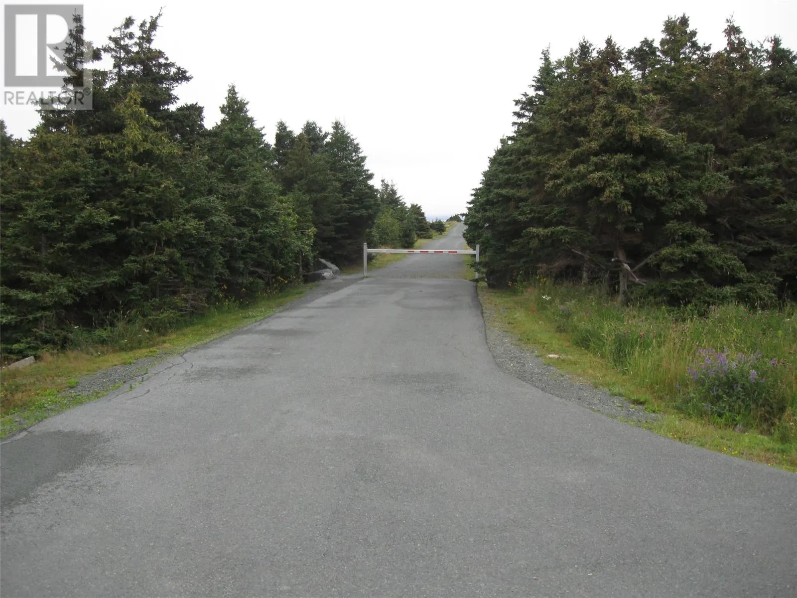 56 N Robert's Road N