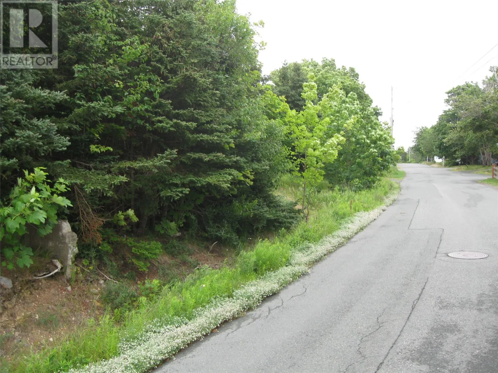 56 N Robert's Road N