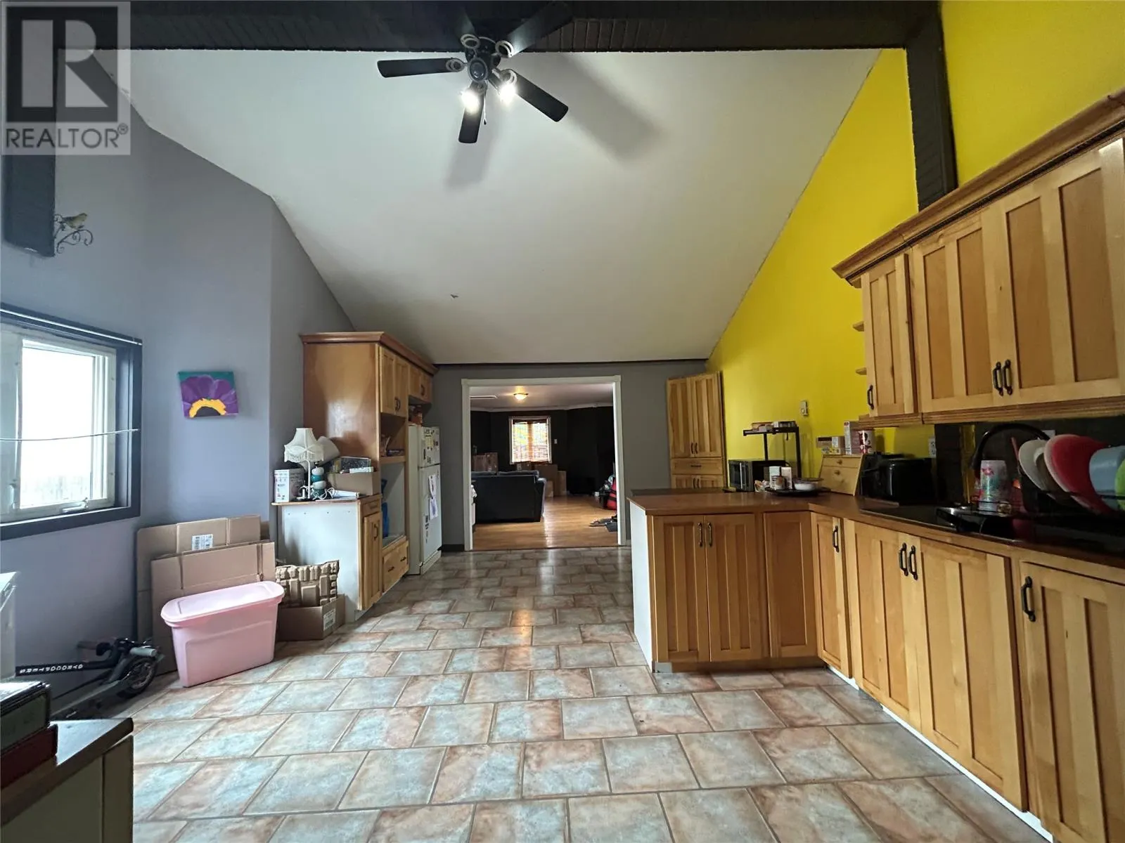 49A Earle Street