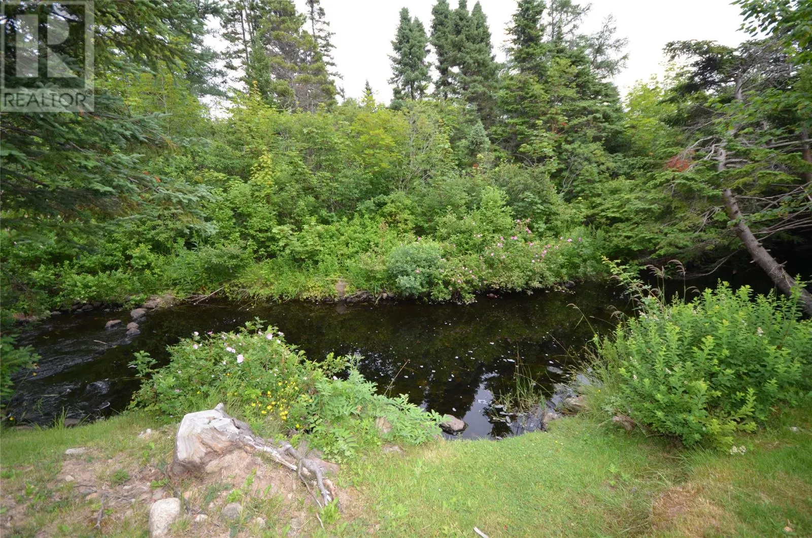 39 Kelliview Crescent