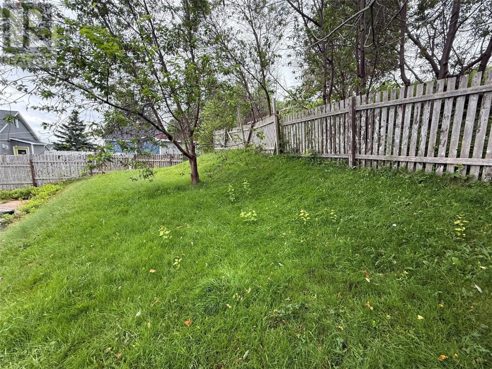 11 Caribou Road